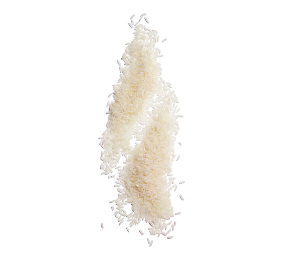 Rice-Gamma-oryzanol-Oryzanol